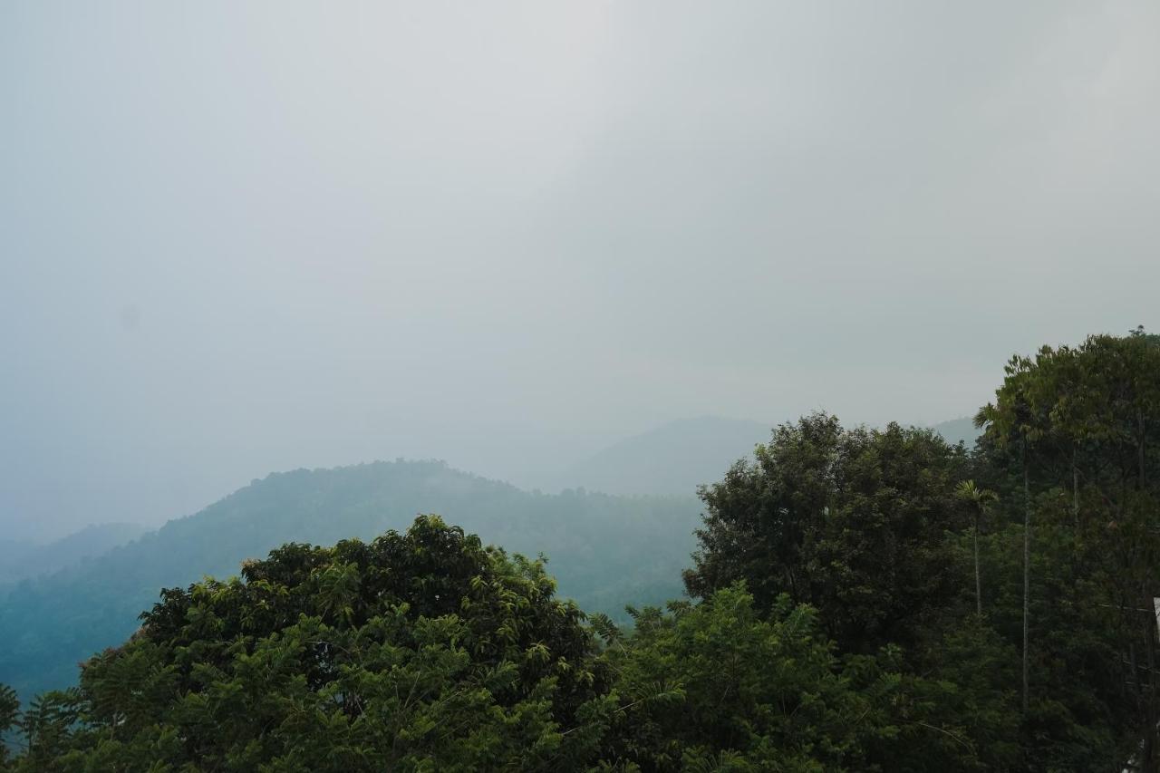 Sprise Munnar Resort And Spa 外观 照片